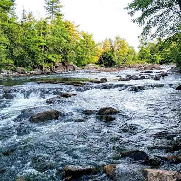 A wide, rocky river flowing through a lush green forest. The water is churning over small drops and stones, creating white foam and ripples under a bright, clear sky.